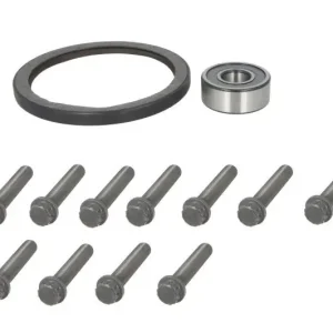 Zestaw śrub koła zamachowego pasuje do MERCEDES ACTROS MP4 / MP5, ANTOS, AROCS 07.11- Nie przegap