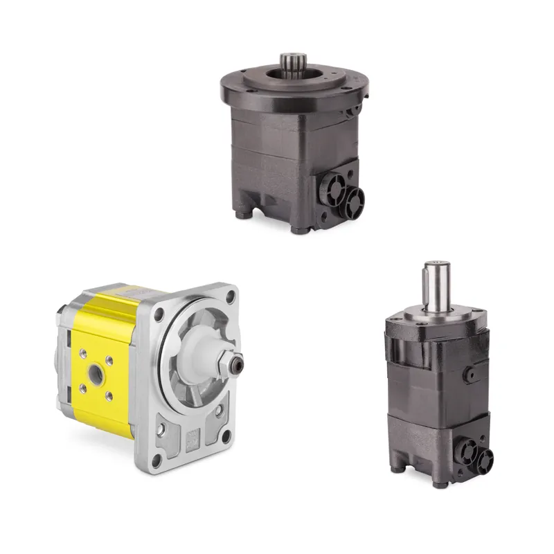 Szybka dostawa Silnik hydrauliczny BM3200K1AYT11